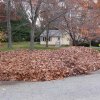 Great fall cleaning in Watertown MA